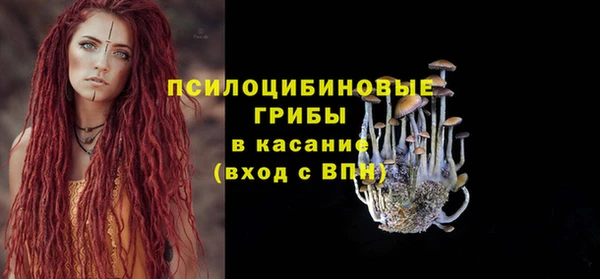 дурь Балахна