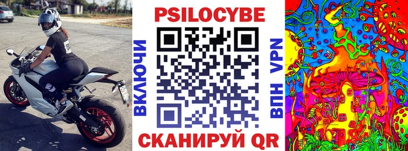 Псилоцибиновые грибы Psilocybe  дарнет шоп  ОМГ ОМГ ССЫЛКА  Подпорожье 